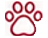 Animals de companyia