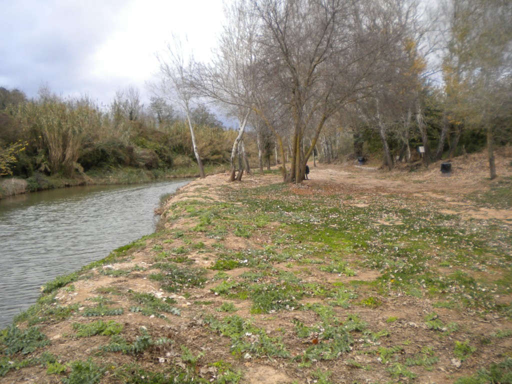 pesca1_0